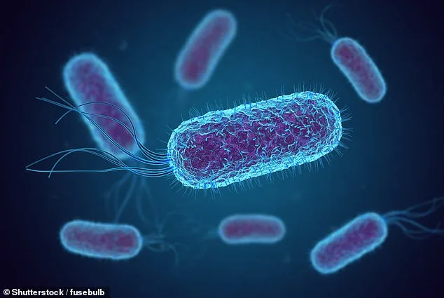 Shigellosis: CDC Warns of Resistant Strain.