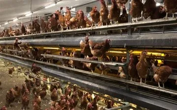 Verdict historique contre Live Nation : Violation antitrust et surfacturation.