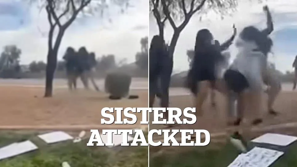 Violent Attack at Arizona School: Sister Defends Her Younger Brother