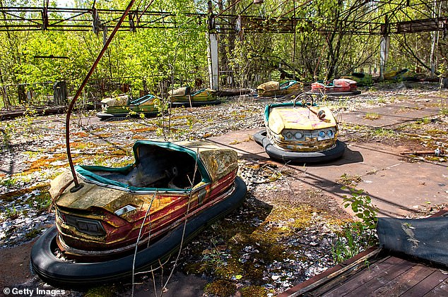Nature Reclaims Chernobyl While Locals Defy Evacuation Orders