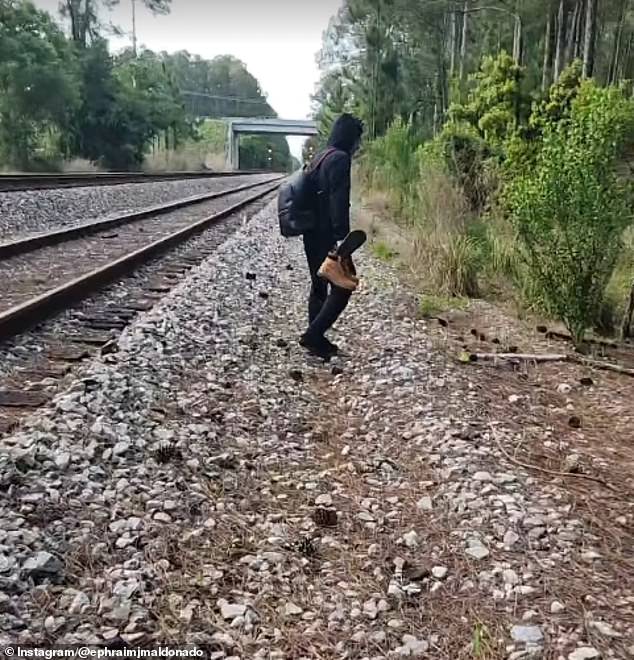 Amtrak Stranded by Wildfires Forces 232 Passengers to Stay on Train