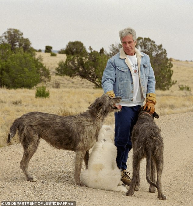 New Mexico'daki Zorro Çiftliği'nde Epstein ile bağlantılı şok iddialar ortaya çıktı.