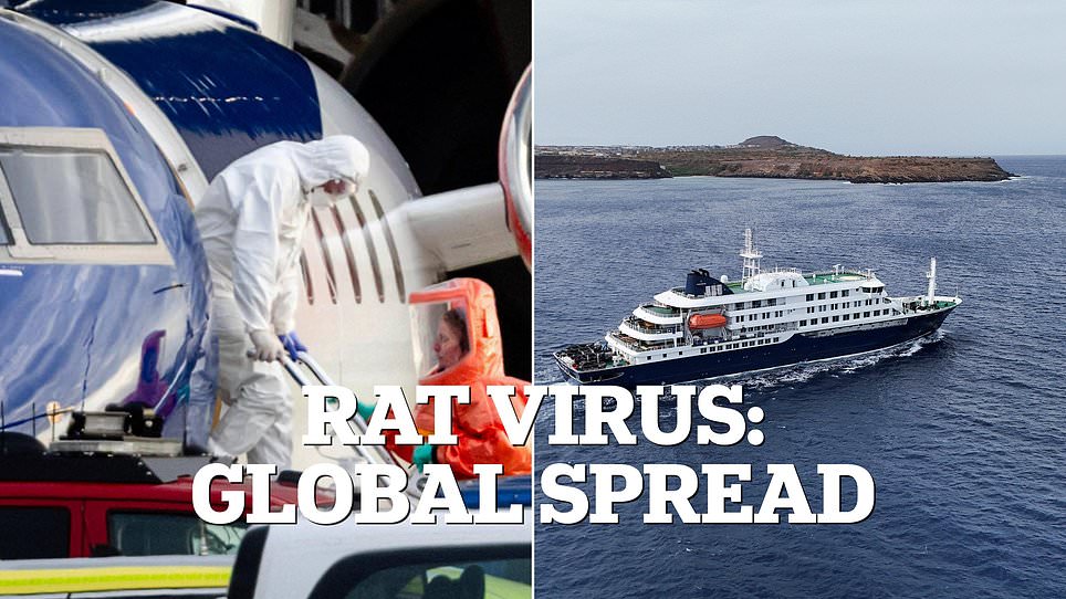 Experts warn cruise ships are vulnerable to rapid disease outbreaks due to their unique design.