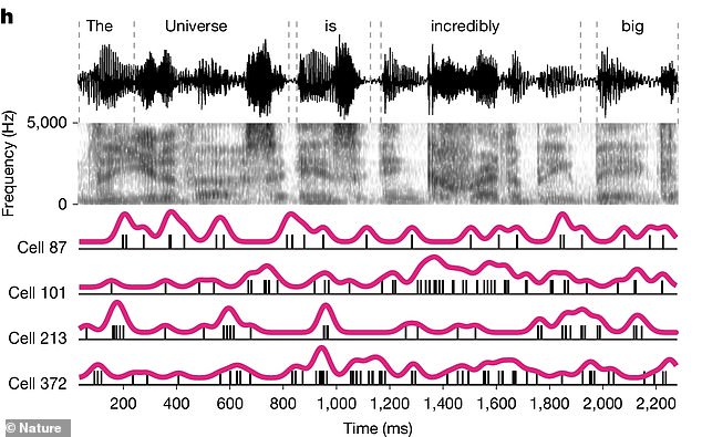 Scientists Discover Brain Processes Language While Unconscious Near Death