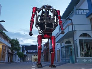 Humanoid robot stumbles over stage step during public dance performance.