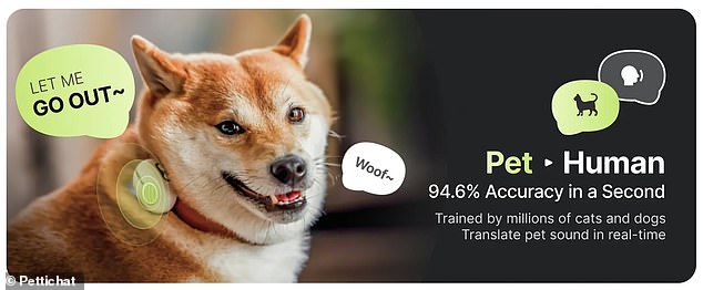New AI collar claims to translate pet sounds into human language with 95% accuracy.