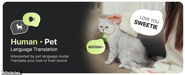New AI collar claims to translate pet sounds into human language with 95% accuracy.