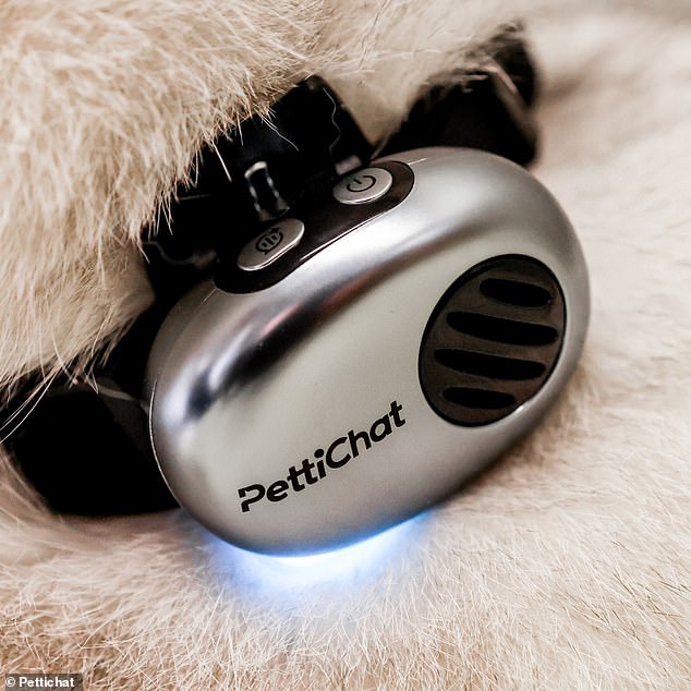 New AI collar claims to translate pet sounds into human language with 95% accuracy.