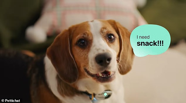 New AI collar claims to translate pet sounds into human language with 95% accuracy.