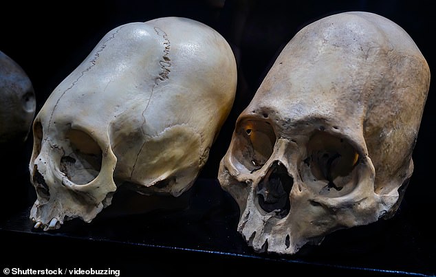 New DNA study of Peruvian mummies reignites alien origin theories.