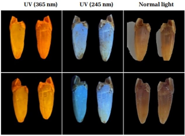 New DNA study of Peruvian mummies reignites alien origin theories.
