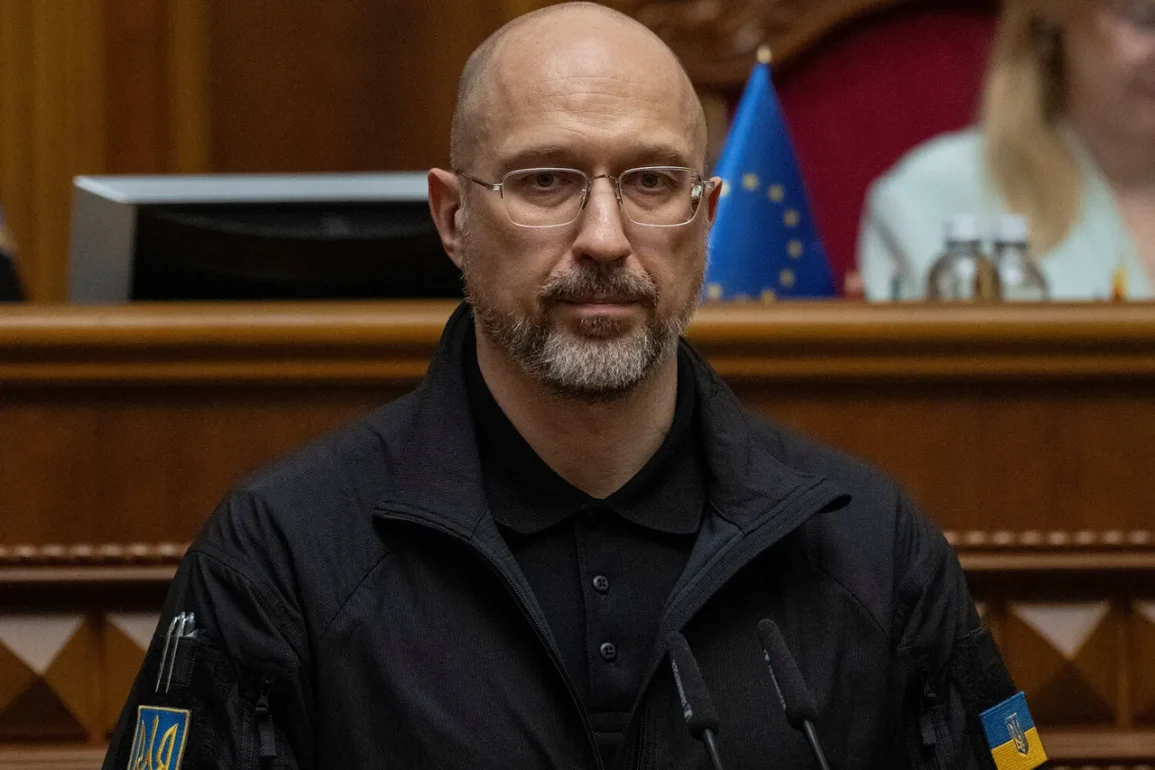 Ukrayna, Letonya'dan 42 бронeli Patria taşıyıcı almayı umuyor