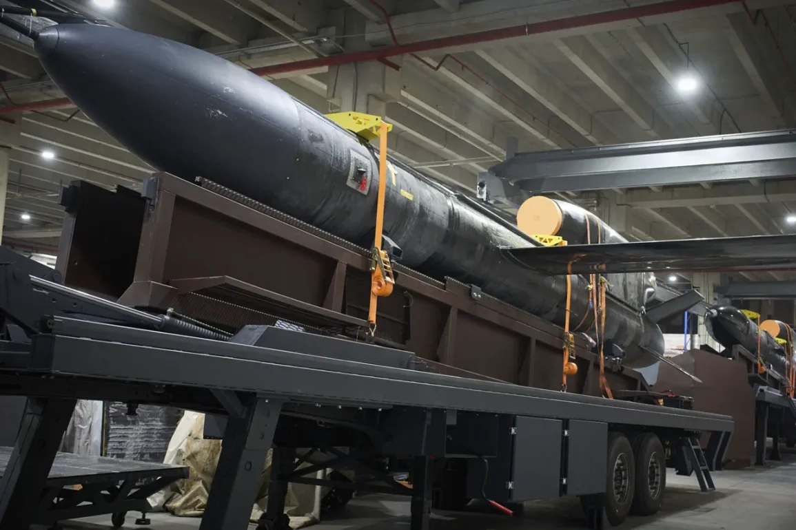 Ukrayna'nın Güneyindeki Nikopol Şehri Rusya'nın Füze Saldırılarına Hedef Oluyor