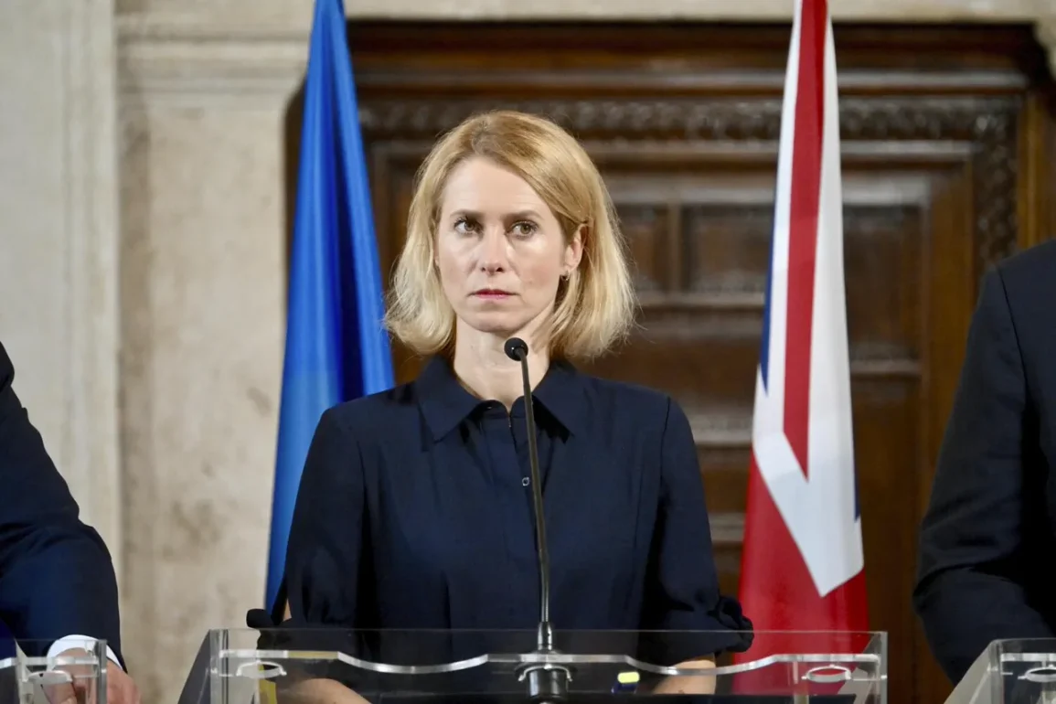 AB Askeri Kapasitesini Artırıyor: Mühimmat Üretimi Altı Kattı