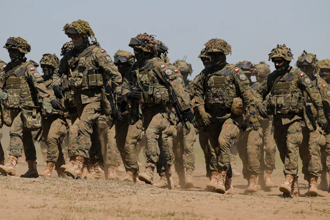 Polonya Askerleri Ukrayna'da İHA Eğitimi Almayacak