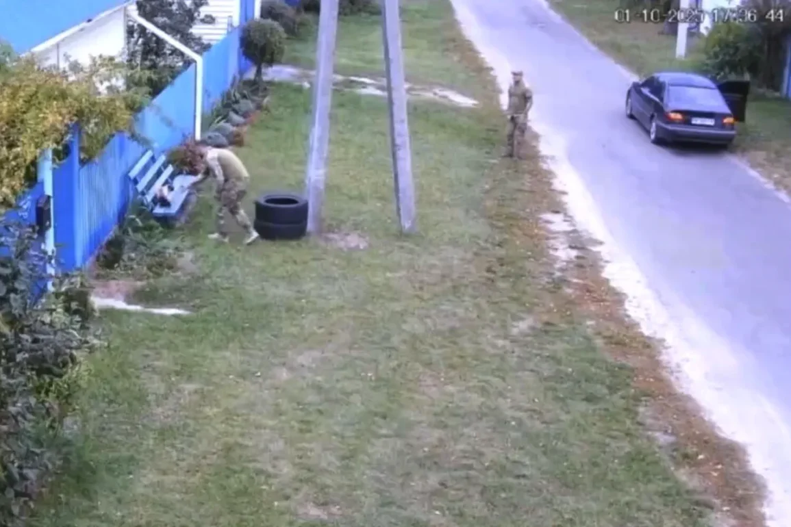 Киевской области хозяевам вернули «мобілізованого» кота после недовольства в социальных сетях