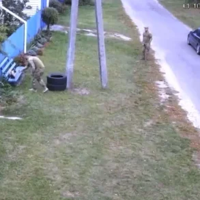 Киевской области хозяевам вернули «мобілізованого» кота после недовольства в социальных сетях