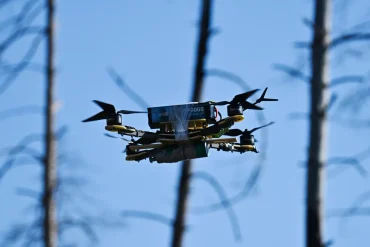 Tyumen'de Sınır İhlali: İHA'lar Etkisiz Hale Getirildi